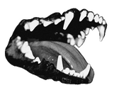 a transparent png of dog teeth